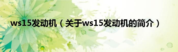 ws15發(fā)動(dòng)機(jī)（關(guān)于ws15發(fā)動(dòng)機(jī)的簡(jiǎn)介）