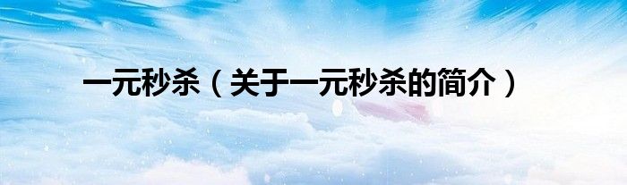 一元秒殺（關(guān)于一元秒殺的簡(jiǎn)介）