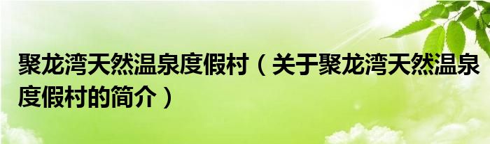 聚龍灣天然溫泉度假村（關(guān)于聚龍灣天然溫泉度假村的簡介）