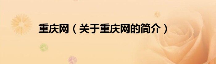 重慶網(wǎng)（關(guān)于重慶網(wǎng)的簡(jiǎn)介）