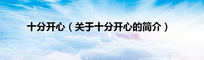 十分開心（關(guān)于十分開心的簡(jiǎn)介）