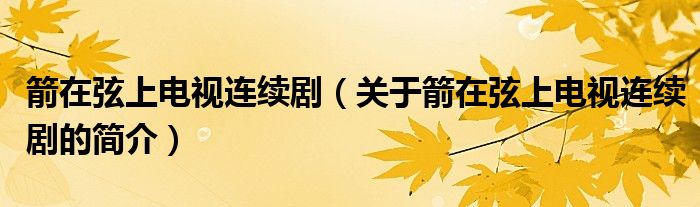 箭在弦上電視連續(xù)?。P于箭在弦上電視連續(xù)劇的簡介）