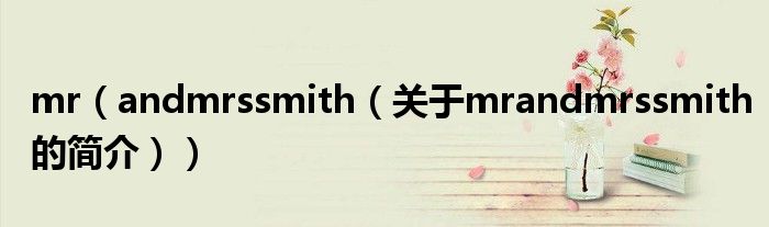 mr（andmrssmith（關于mrandmrssmith的簡介））