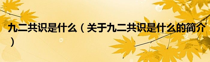 九二共識(shí)是什么（關(guān)于九二共識(shí)是什么的簡介）