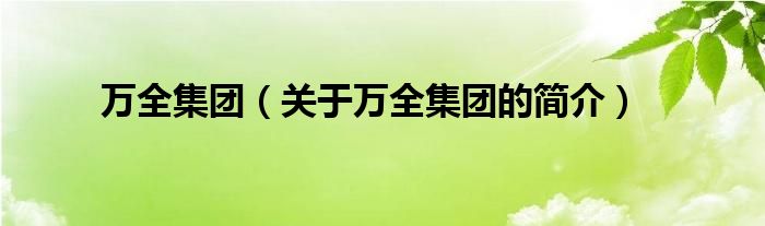 萬全集團（關(guān)于萬全集團的簡介）