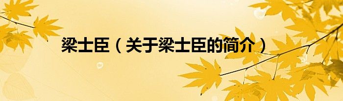 梁士臣（關(guān)于梁士臣的簡(jiǎn)介）