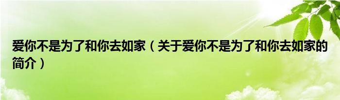 愛(ài)你不是為了和你去如家（關(guān)于愛(ài)你不是為了和你去如家的簡(jiǎn)介）