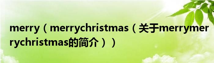 merry（merrychristmas（關于merrymerrychristmas的簡介））