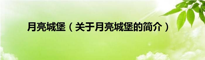 月亮城堡（關(guān)于月亮城堡的簡(jiǎn)介）