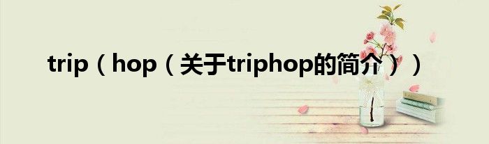 trip（hop（關(guān)于triphop的簡介））