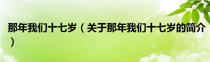 那年我們十七歲（關于那年我們十七歲的簡介）