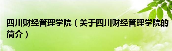 四川財(cái)經(jīng)管理學(xué)院（關(guān)于四川財(cái)經(jīng)管理學(xué)院的簡(jiǎn)介）