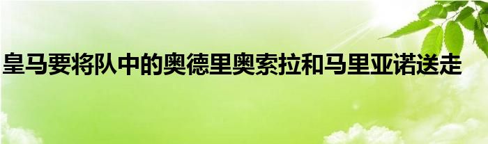 皇馬要將隊中的奧德里奧索拉和馬里亞諾送走