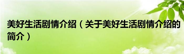 美好生活劇情介紹（關(guān)于美好生活劇情介紹的簡介）