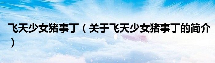 飛天少女豬事?。P(guān)于飛天少女豬事丁的簡介）