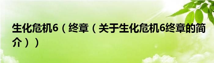 生化危機6（終章（關(guān)于生化危機6終章的簡介））