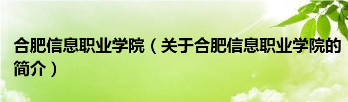 合肥信息職業(yè)學院（關(guān)于合肥信息職業(yè)學院的簡介）