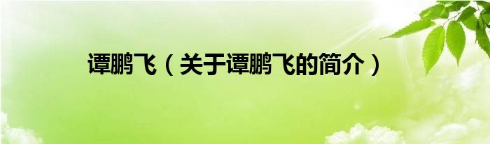 譚鵬飛（關(guān)于譚鵬飛的簡(jiǎn)介）