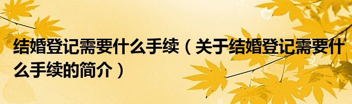 結婚登記需要什么手續(xù)（關于結婚登記需要什么手續(xù)的簡介）