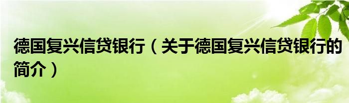 德國(guó)復(fù)興信貸銀行（關(guān)于德國(guó)復(fù)興信貸銀行的簡(jiǎn)介）