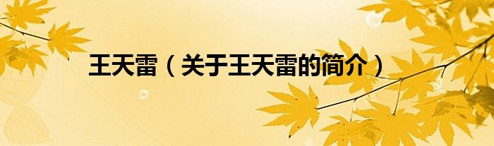 王天雷（關(guān)于王天雷的簡(jiǎn)介）