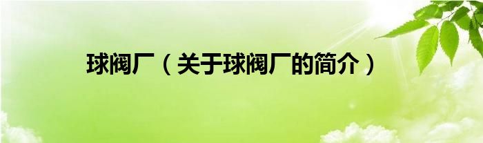 球閥廠（關(guān)于球閥廠的簡(jiǎn)介）