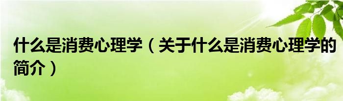 什么是消費(fèi)心理學(xué)（關(guān)于什么是消費(fèi)心理學(xué)的簡(jiǎn)介）