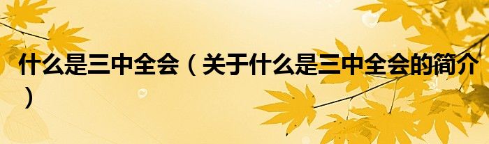 什么是三中全會(huì)（關(guān)于什么是三中全會(huì)的簡(jiǎn)介）