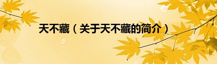 天不藏（關(guān)于天不藏的簡(jiǎn)介）