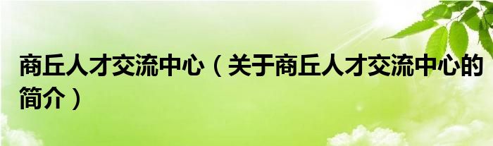 商丘人才交流中心（關(guān)于商丘人才交流中心的簡介）