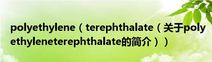 polyethylene（terephthalate（關(guān)于polyethyleneterephthalate的簡介））