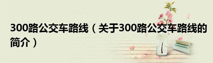 300路公交車路線（關(guān)于300路公交車路線的簡(jiǎn)介）