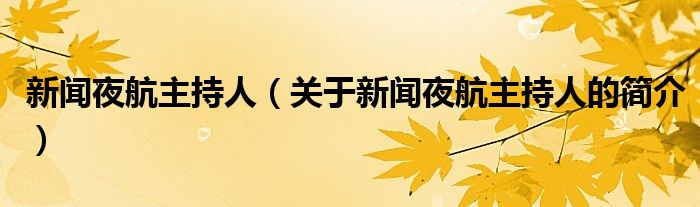 新聞夜航主持人（關于新聞夜航主持人的簡介）