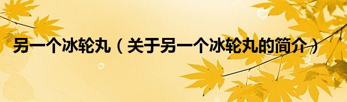 另一個冰輪丸（關(guān)于另一個冰輪丸的簡介）