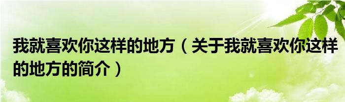 我就喜歡你這樣的地方（關(guān)于我就喜歡你這樣的地方的簡介）