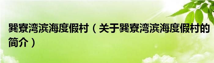 巽寮灣濱海度假村（關(guān)于巽寮灣濱海度假村的簡(jiǎn)介）