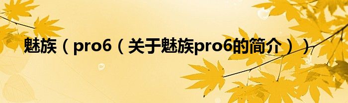 魅族（pro6（關(guān)于魅族pro6的簡介））