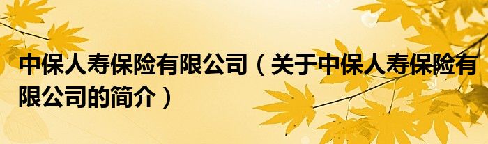 中保人壽保險有限公司（關于中保人壽保險有限公司的簡介）