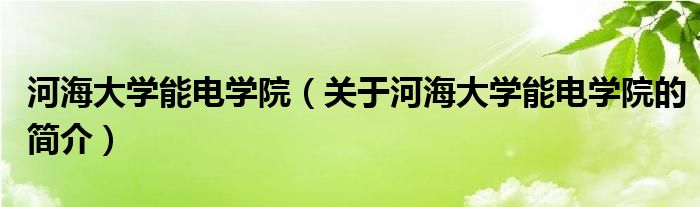 河海大學(xué)能電學(xué)院（關(guān)于河海大學(xué)能電學(xué)院的簡介）