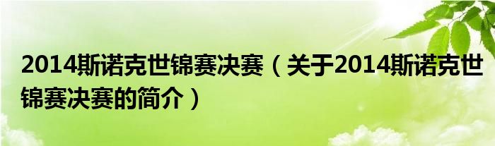 2014斯諾克世錦賽決賽（關(guān)于2014斯諾克世錦賽決賽的簡介）