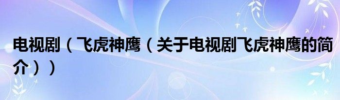 電視?。w虎神鷹（關于電視劇飛虎神鷹的簡介））