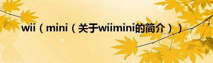 wii（mini（關(guān)于wiimini的簡(jiǎn)介））