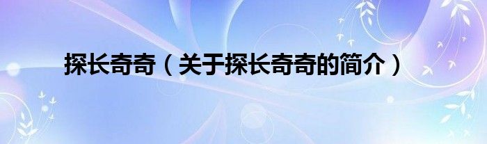 探長(zhǎng)奇奇（關(guān)于探長(zhǎng)奇奇的簡(jiǎn)介）