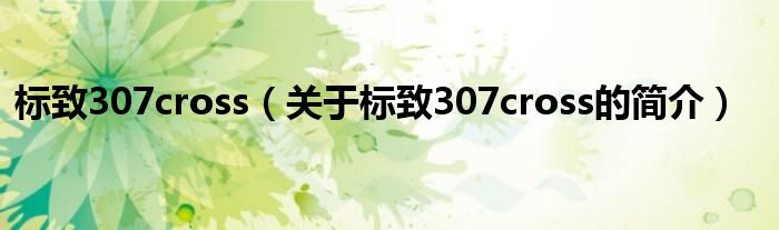 標致307cross（關于標致307cross的簡介）