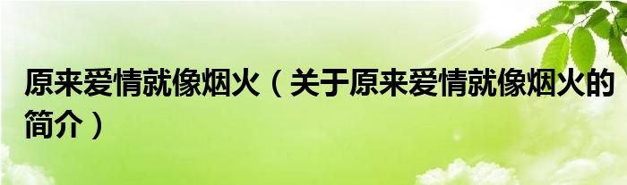 原來(lái)愛(ài)情就像煙火（關(guān)于原來(lái)愛(ài)情就像煙火的簡(jiǎn)介）