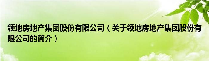 領地房地產集團股份有限公司（關于領地房地產集團股份有限公司的簡介）