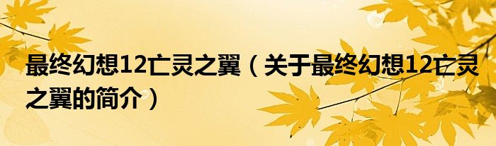 最終幻想12亡靈之翼（關于最終幻想12亡靈之翼的簡介）