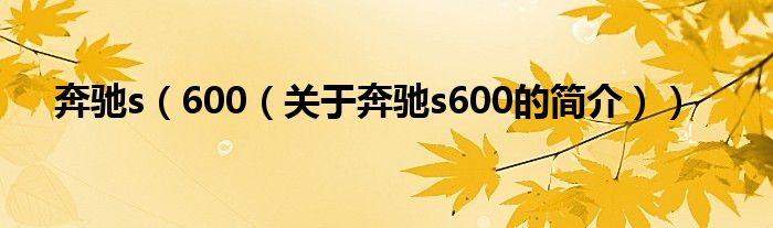 奔馳s（600（關(guān)于奔馳s600的簡介））