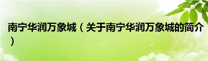 南寧華潤(rùn)萬象城（關(guān)于南寧華潤(rùn)萬象城的簡(jiǎn)介）