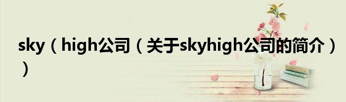 sky（high公司（關(guān)于skyhigh公司的簡(jiǎn)介））